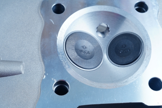 lorem ipsum dolor sit