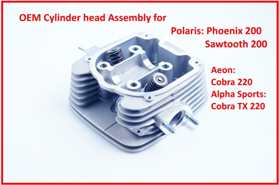 OEM Cylinder head Asselbly Polaris Phoenix 200 & Aeon Cobra 220 0454847 TW
